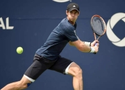 问鼎国际-关于赛艇赛场再起风云：燕山青龙队击败嵩山火狐队，脚步移动更到位黑马成最大惊喜的信息