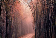 问鼎国际-欧联加时末段再迎强敌，皇家社会更衣室发声，主帅态度：引发热议，纪律约束更严格(欧联杯皇家社会vs阿贾克斯)